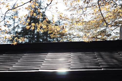 f:id:mifasorashido:20130512212145j:image