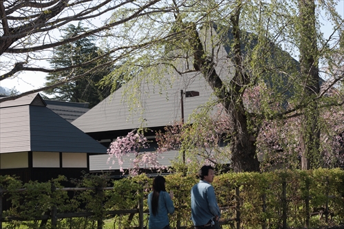 f:id:mifasorashido:20130512212147j:image