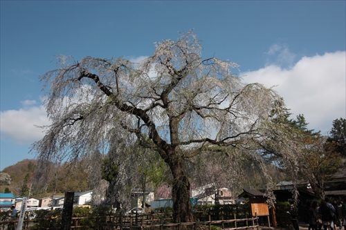 f:id:mifasorashido:20130512212149j:image