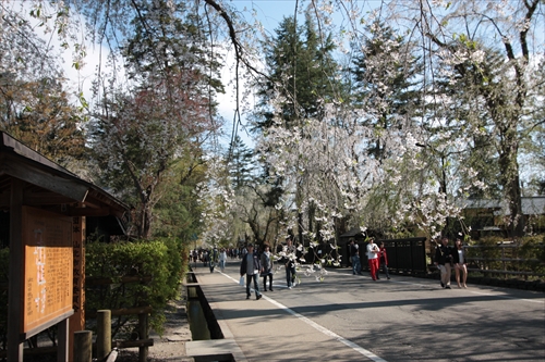 f:id:mifasorashido:20130512212152j:image