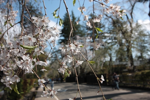 f:id:mifasorashido:20130512212153j:image