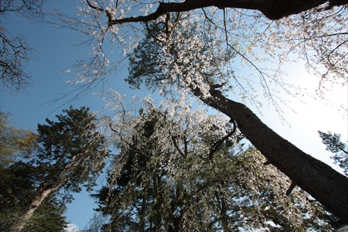 f:id:mifasorashido:20130512212200j:image