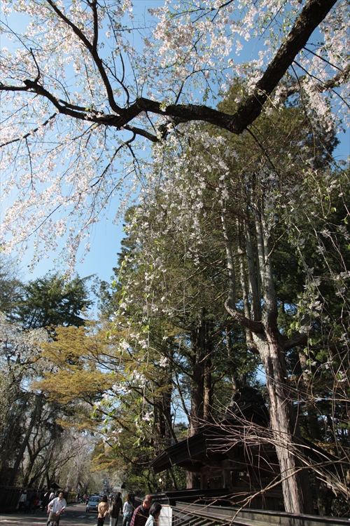 f:id:mifasorashido:20130512212204j:image