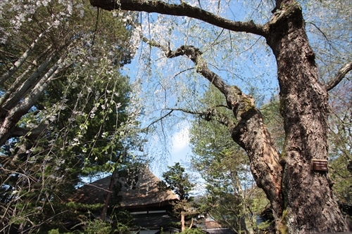 f:id:mifasorashido:20130512212205j:image