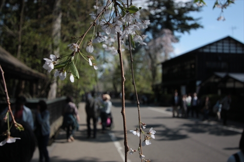 f:id:mifasorashido:20130512212209j:image