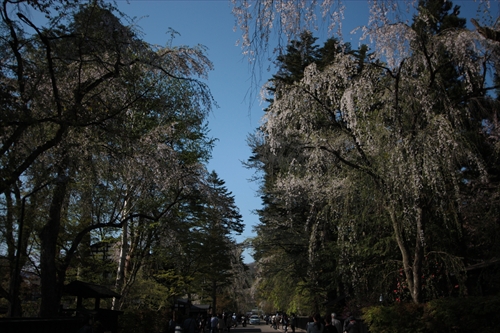 f:id:mifasorashido:20130512212216j:image