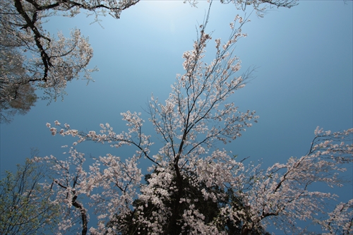 f:id:mifasorashido:20130512212223j:image