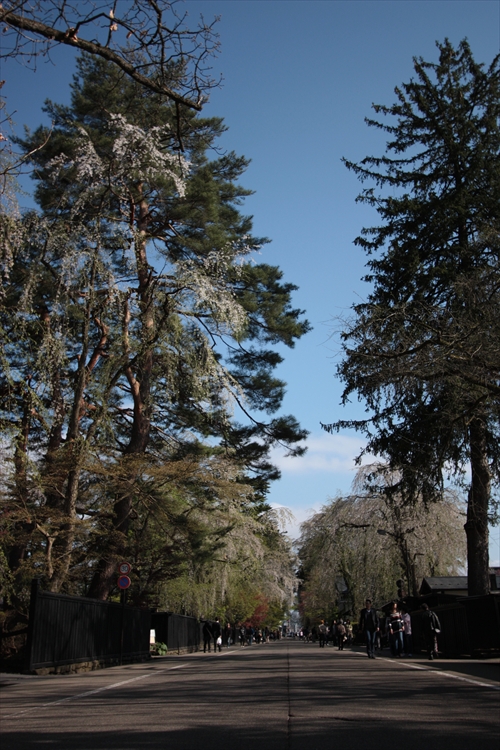 f:id:mifasorashido:20130512212233j:image