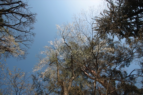 f:id:mifasorashido:20130512212234j:image