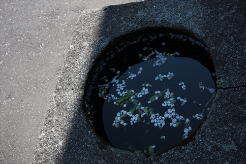 f:id:mifasorashido:20130512212239j:image