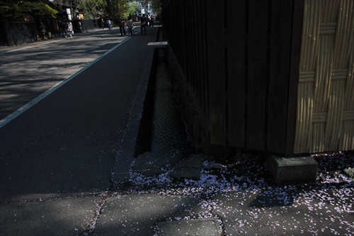 f:id:mifasorashido:20130512212240j:image