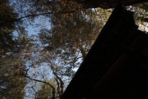 f:id:mifasorashido:20130512212301j:image