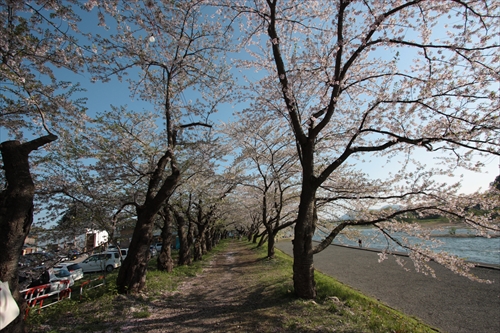 f:id:mifasorashido:20130512212311j:image