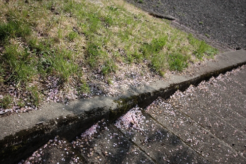 f:id:mifasorashido:20130512212315j:image