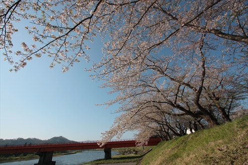 f:id:mifasorashido:20130512212318j:image