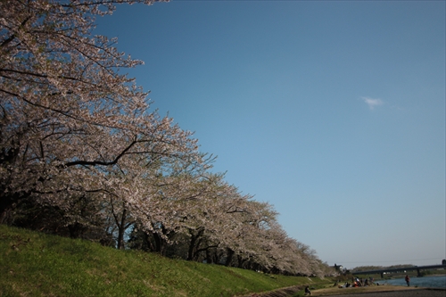 f:id:mifasorashido:20130512212319j:image