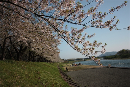 f:id:mifasorashido:20130512212320j:image