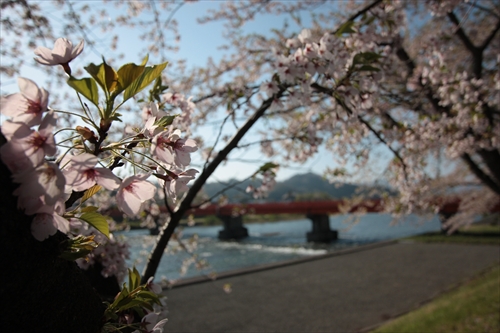 f:id:mifasorashido:20130512212324j:image