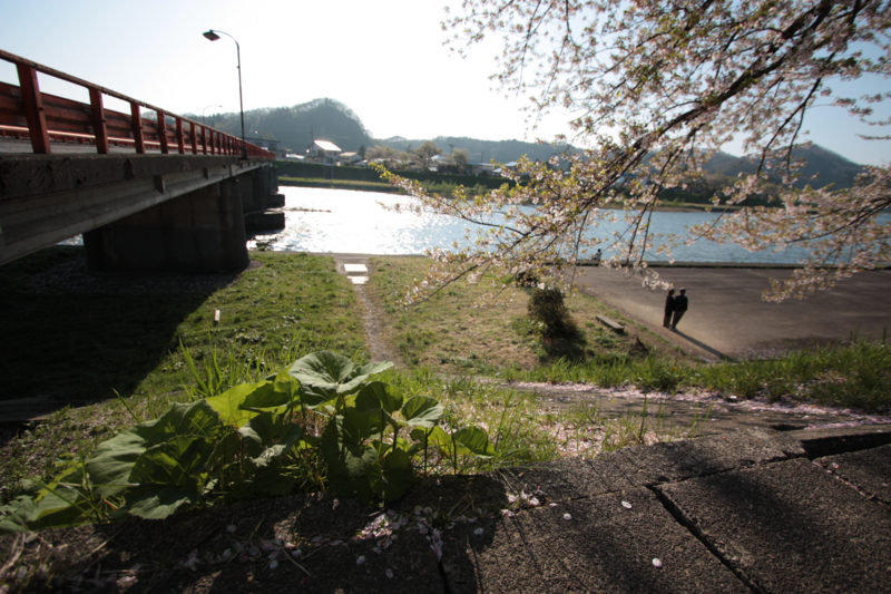 f:id:mifasorashido:20130512212337j:image