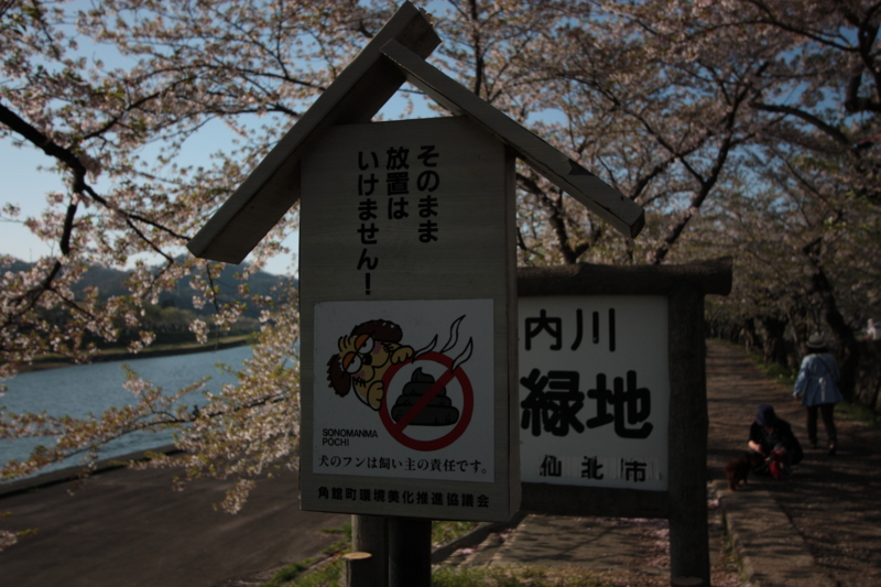 f:id:mifasorashido:20130512212338j:image