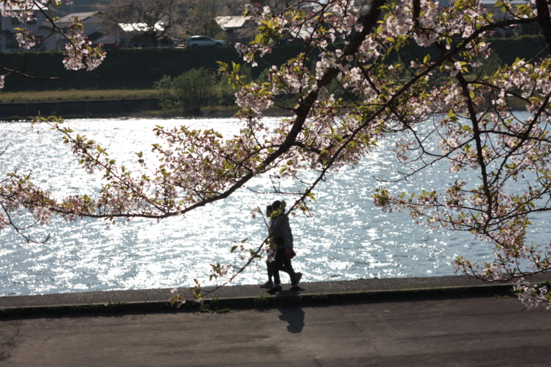 f:id:mifasorashido:20130512212341j:image