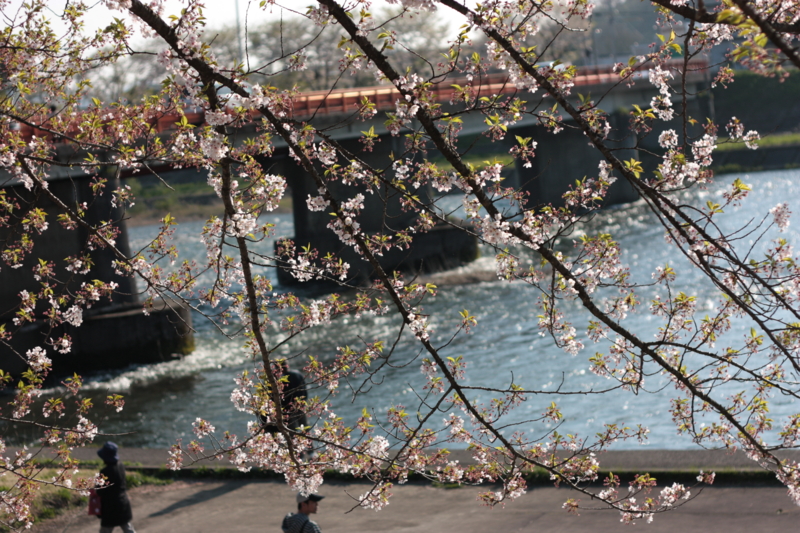 f:id:mifasorashido:20130512212344j:image