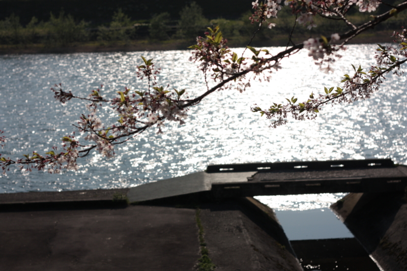 f:id:mifasorashido:20130512212345j:image