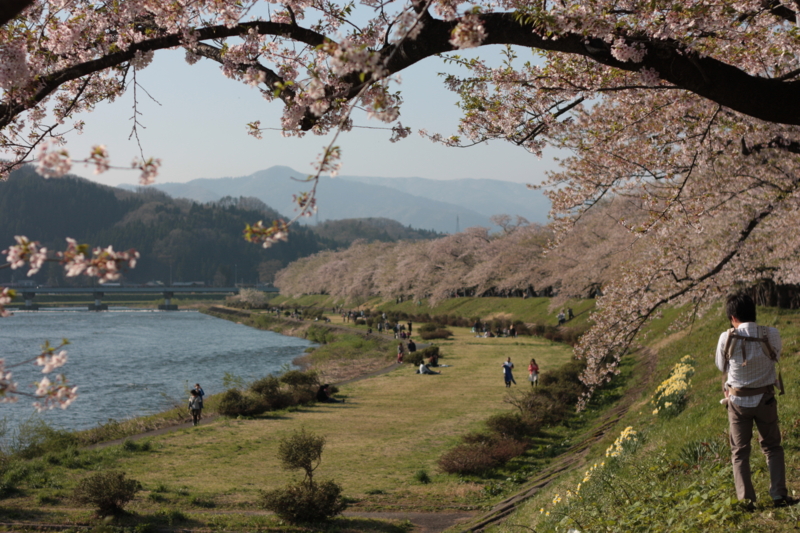 f:id:mifasorashido:20130512212349j:image