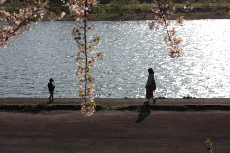 f:id:mifasorashido:20130512212350j:image