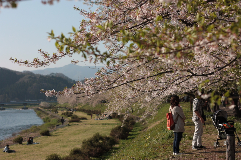 f:id:mifasorashido:20130512212351j:image f:id:mifasorashido:20130512212351j:image