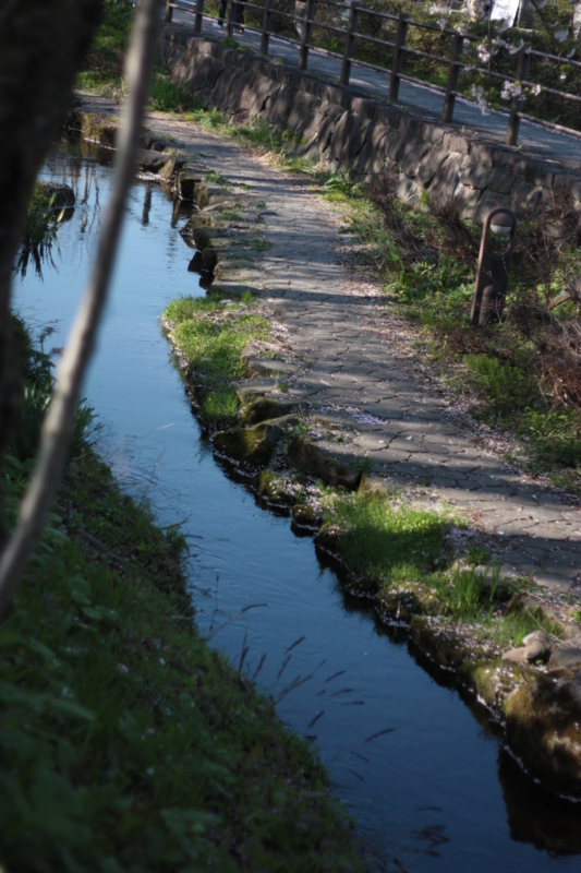 f:id:mifasorashido:20130512212353j:image