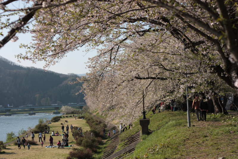 f:id:mifasorashido:20130512212356j:image