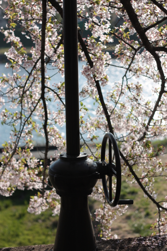 f:id:mifasorashido:20130512212400j:image