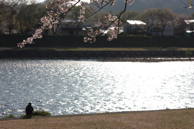 f:id:mifasorashido:20130512212402j:image