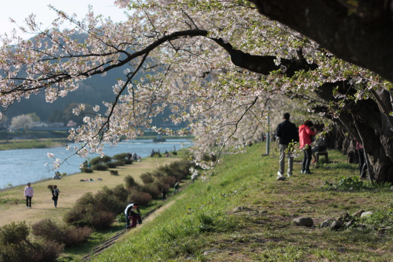 f:id:mifasorashido:20130512212403j:image