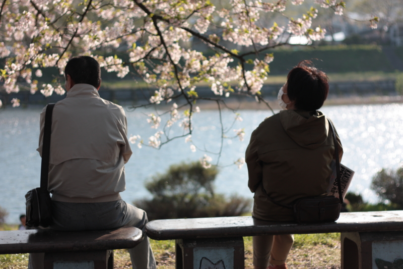 f:id:mifasorashido:20130512212405j:image