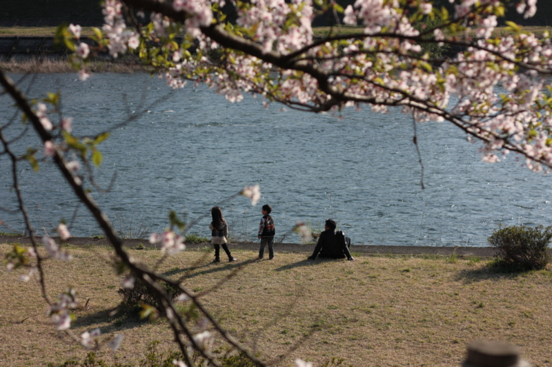 f:id:mifasorashido:20130512212410j:image