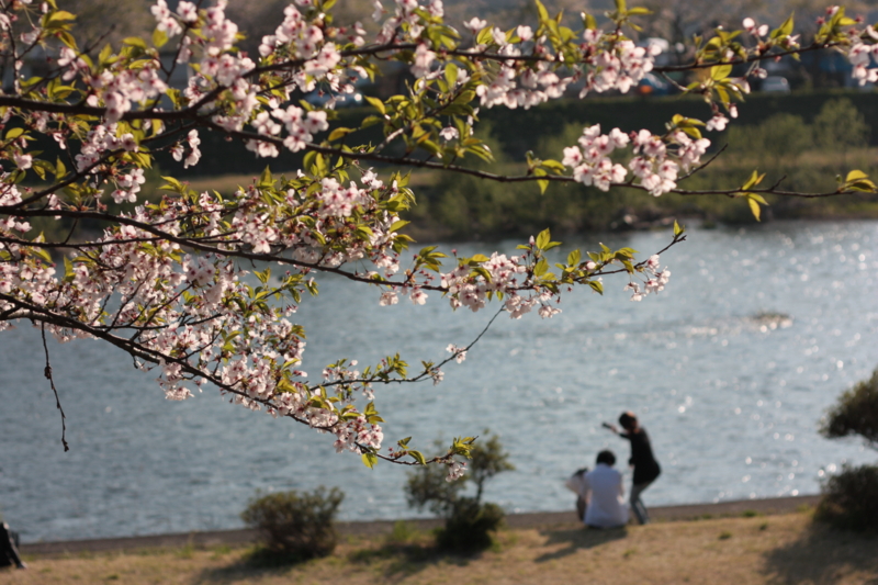 f:id:mifasorashido:20130512212411j:image