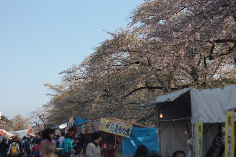 f:id:mifasorashido:20130512212416j:image