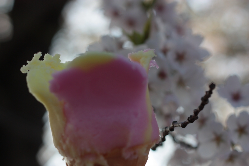 f:id:mifasorashido:20130512212437j:image