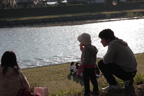 f:id:mifasorashido:20130512220159j:image