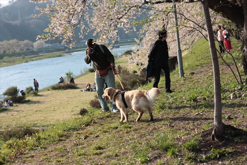 f:id:mifasorashido:20130512220200j:image