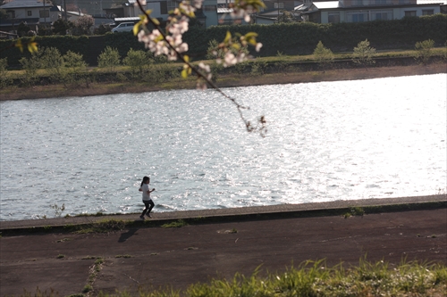 f:id:mifasorashido:20130512220205j:image