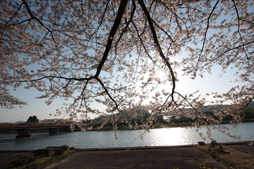 f:id:mifasorashido:20130512220207j:image