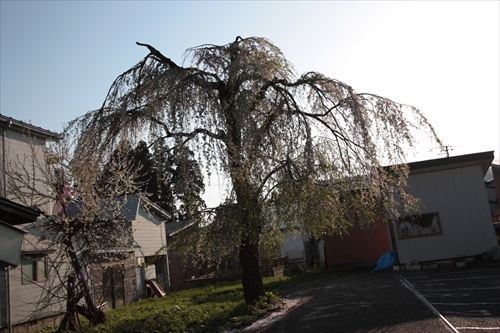 f:id:mifasorashido:20130512220220j:image