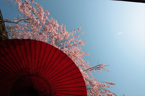 f:id:mifasorashido:20130512220230j:image