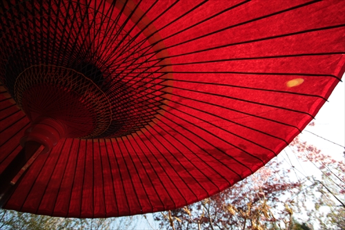 f:id:mifasorashido:20130512220231j:image