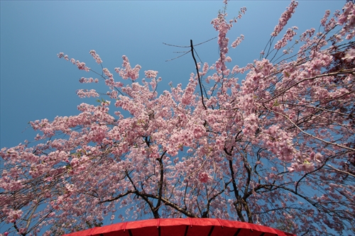 f:id:mifasorashido:20130512220232j:image