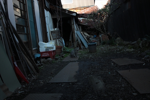 f:id:mifasorashido:20130512220237j:image