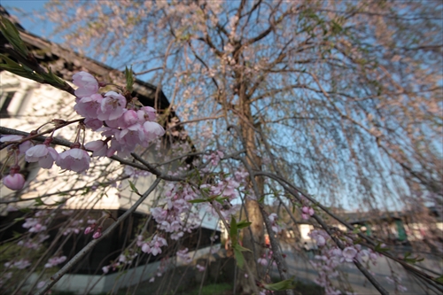 f:id:mifasorashido:20130512220258j:image